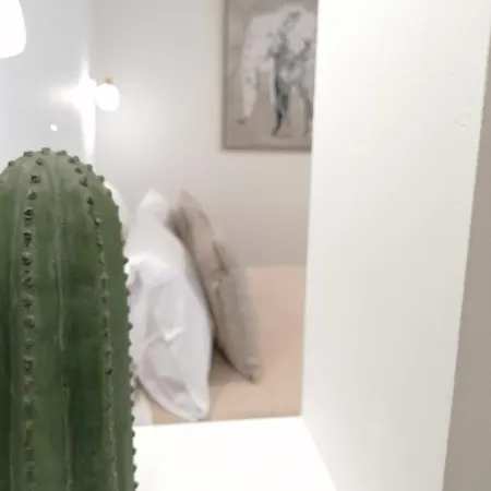 Casa Athena Naxos 公寓 *